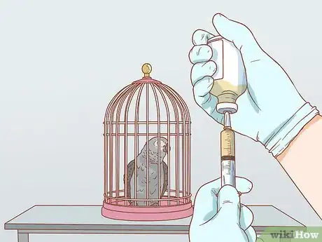 Imagen titulada Treat Respiratory Infections in African Grey Parrots Step 12