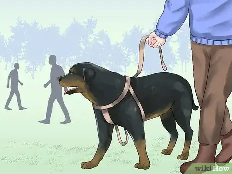 Imagen titulada Train a Rottweiler to Be a Guard Dog Step 6