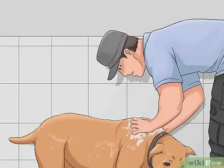 Imagen titulada Bathe a Dog in a Shower Step 12