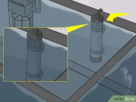 Imagen titulada Raise Brine Shrimp Step 8