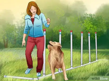 Imagen titulada Design a Dog Agility Course Step 12