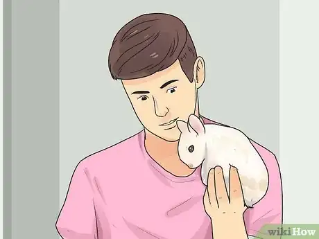 Imagen titulada Teach Your Rabbit to Come when Called Step 2