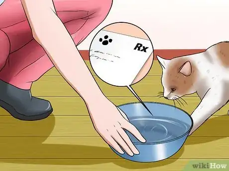 Imagen titulada Treat Bladder Stones in Cats Step 5