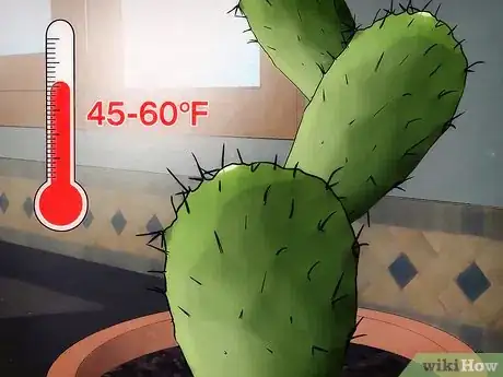 Imagen titulada Save a Dying Cactus Step 10