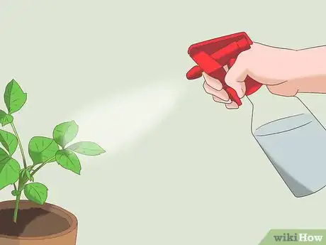 Imagen titulada Take Care of Your Neighbor's Plants While They're Away Step 1Bullet4