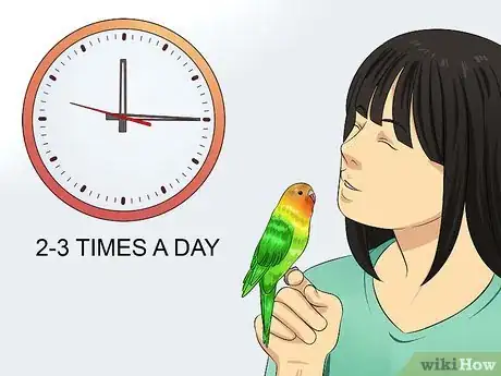 Imagen titulada Play With Your Budgie Step 5