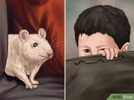 Imagen titulada Bond With Your Pet Rat Step 12