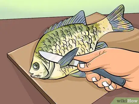 Imagen titulada Clean Sunfish Step 4