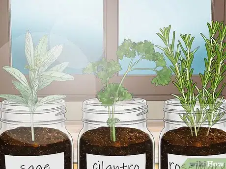 Imagen titulada Build a Mason Jar Herb Garden Step 9