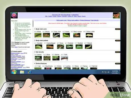 Imagen titulada Identify a Caterpillar Step 9