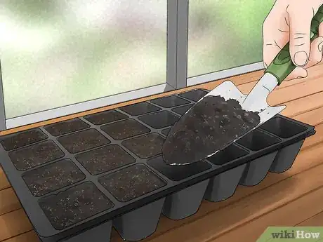 Imagen titulada Grow Eggplant Step 3