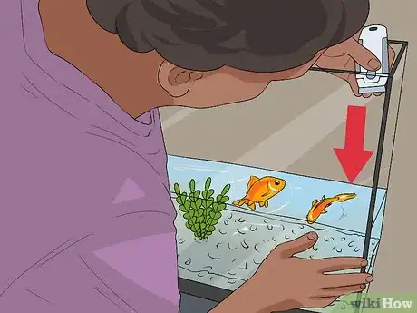 Imagen titulada Repair a Leaky Aquarium Step 2