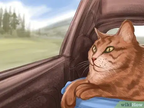 Imagen titulada Keep a Cat Safe in the Car Step 9