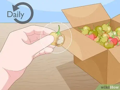 Imagen titulada Ripen Green Tomatoes Step 10