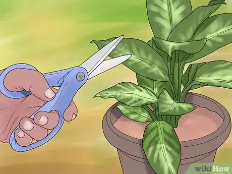 Imagen titulada Remove Brown Tips From the Leaves of Houseplants Step 1