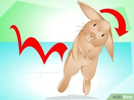 Imagen titulada Determine if Your Rabbit Is Sick Step 15