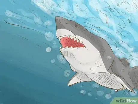 Imagen titulada Avoid Sharks Step 11