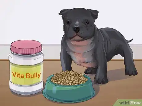 Imagen titulada Feed an American Bully Puppy Step 5