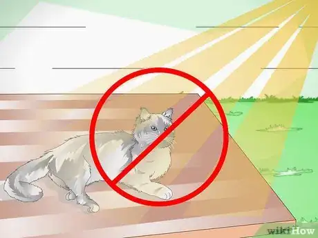 Imagen titulada Get Rid of Cat Dandruff Step 5