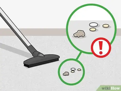 Imagen titulada Clean Your Carpets Step 1