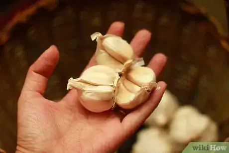 Imagen titulada Store Fresh Garlic Step 6