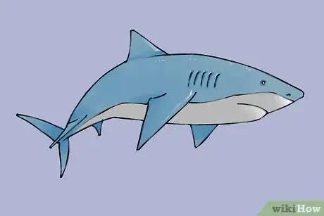 Imagen titulada Draw a Shark Step 20