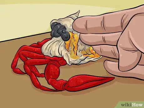 Imagen titulada Clean a Lobster Step 11