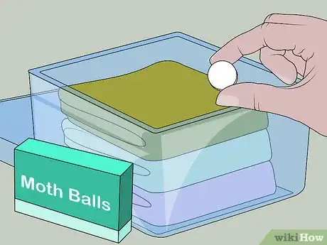 Imagen titulada Use Mothballs Step 2