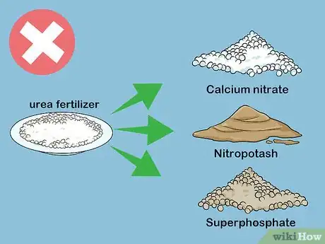 Imagen titulada Apply Urea Fertilizer Step 12