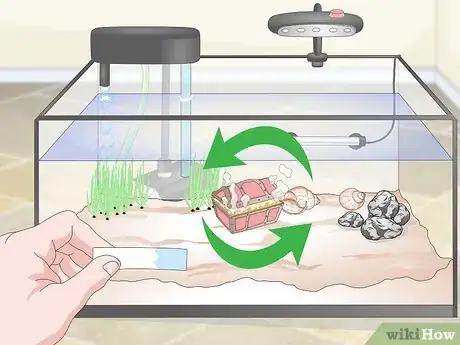 Imagen titulada Set up a Guppy Tank Step 11