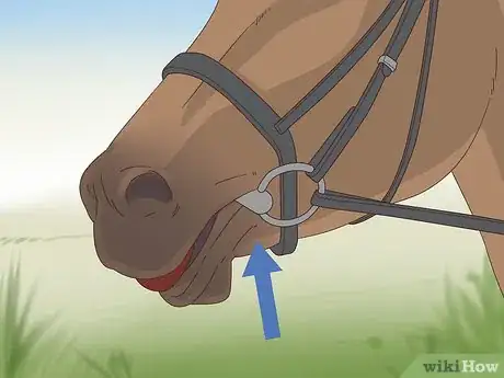 Imagen titulada Tack up a Horse Step 12