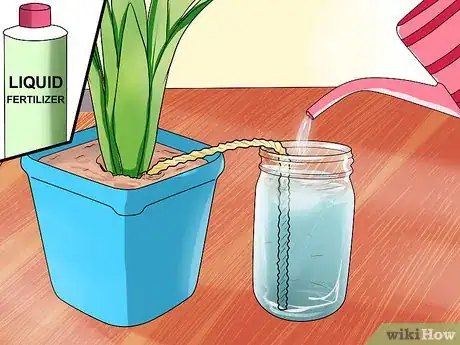 Imagen titulada Water Plants While You're Away Step 12