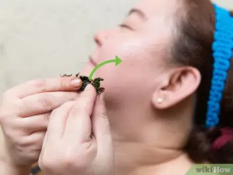 Imagen titulada Get Rid of Acne Using Mint Leaves Step 8