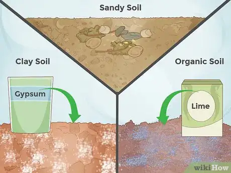 Imagen titulada Prepare Soil for Roses Step 1