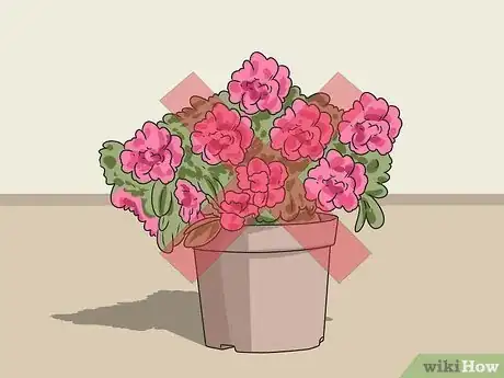 Imagen titulada Stop Your Dog from Eating Your Plants Step 11