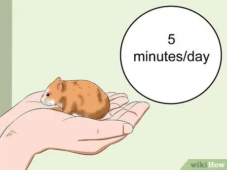 Imagen titulada Make Your Hamster Trust You Step 10