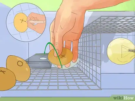 Imagen titulada Make a Simple Homemade Incubator for Chicks Step 9