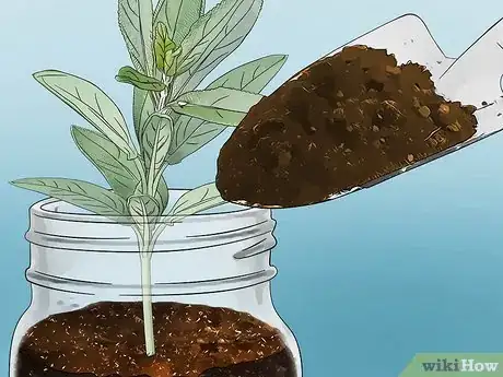 Imagen titulada Build a Mason Jar Herb Garden Step 6