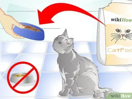 Imagen titulada Get Rid of Cat Dandruff Step 9