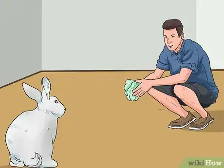 Imagen titulada Teach Your Rabbit to Come when Called Step 7