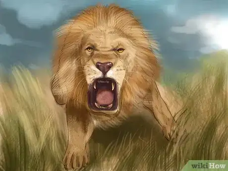 Imagen titulada Survive a Lion Attack Step 5