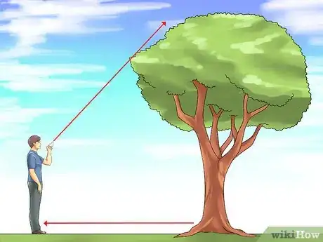 Imagen titulada Measure the Height of a Tree Step 4