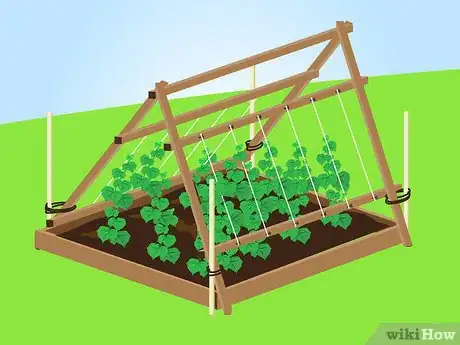 Imagen titulada Trellis Cucumbers Step 21