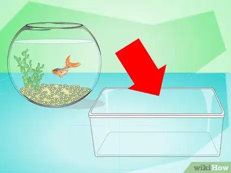 Imagen titulada Change the Water in a Fish Bowl Step 1