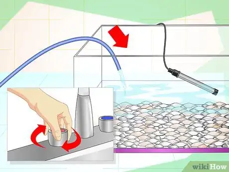 Imagen titulada Fix Cloudy Aquarium Water Step 8