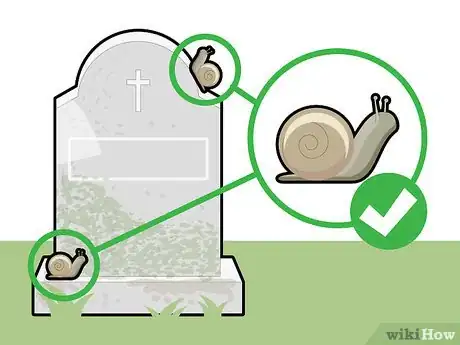 Imagen titulada Clean a Gravestone Step 8