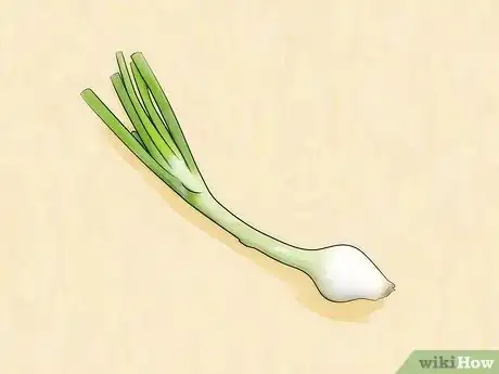 Imagen titulada Grow Green Onions Step 12