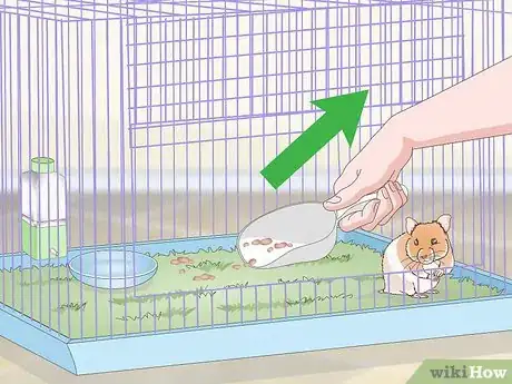 Imagen titulada Keep a Hamster Clean Step 10