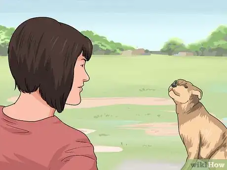 Imagen titulada Teach a Dog to Smile Step 8