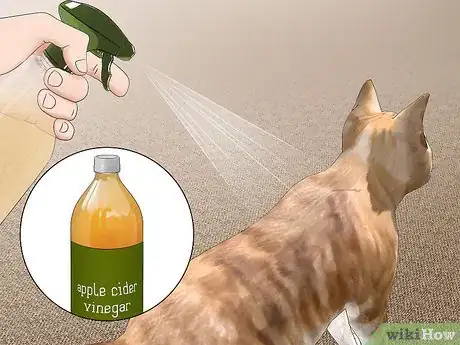 Imagen titulada Get Rid of Fleas Step 3